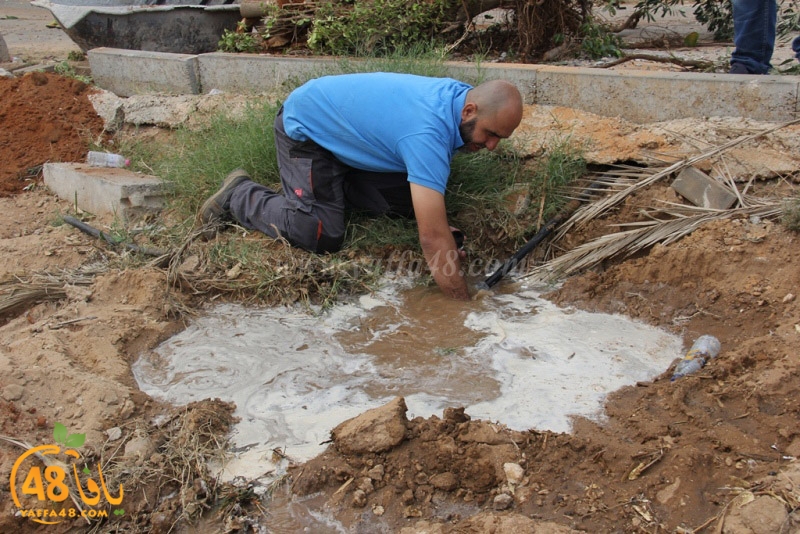 tasoooi3i1412 (51).JPG